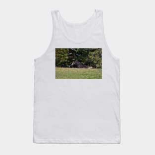 Foal Tank Top